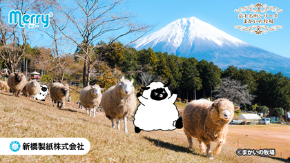 2025年09月 富士山麓朝霧高原まかいの牧場